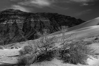 Eureka Dunes, Death Valley