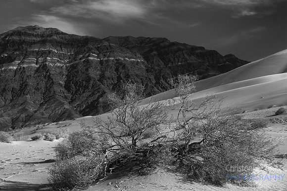 Eureka Dunes, Death Valley