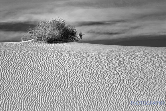 Eureka Dunes, Death Valley