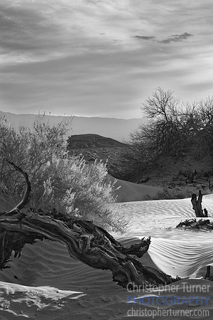 Mesquite Dunes, Death Valley